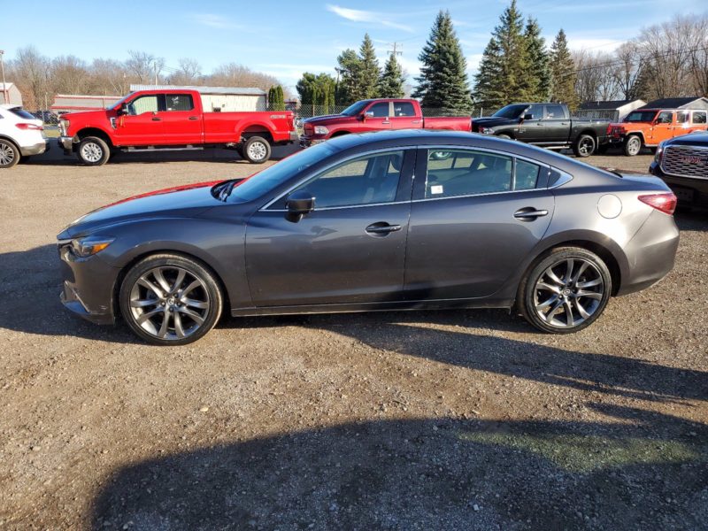 Featured Image BridgeFleet